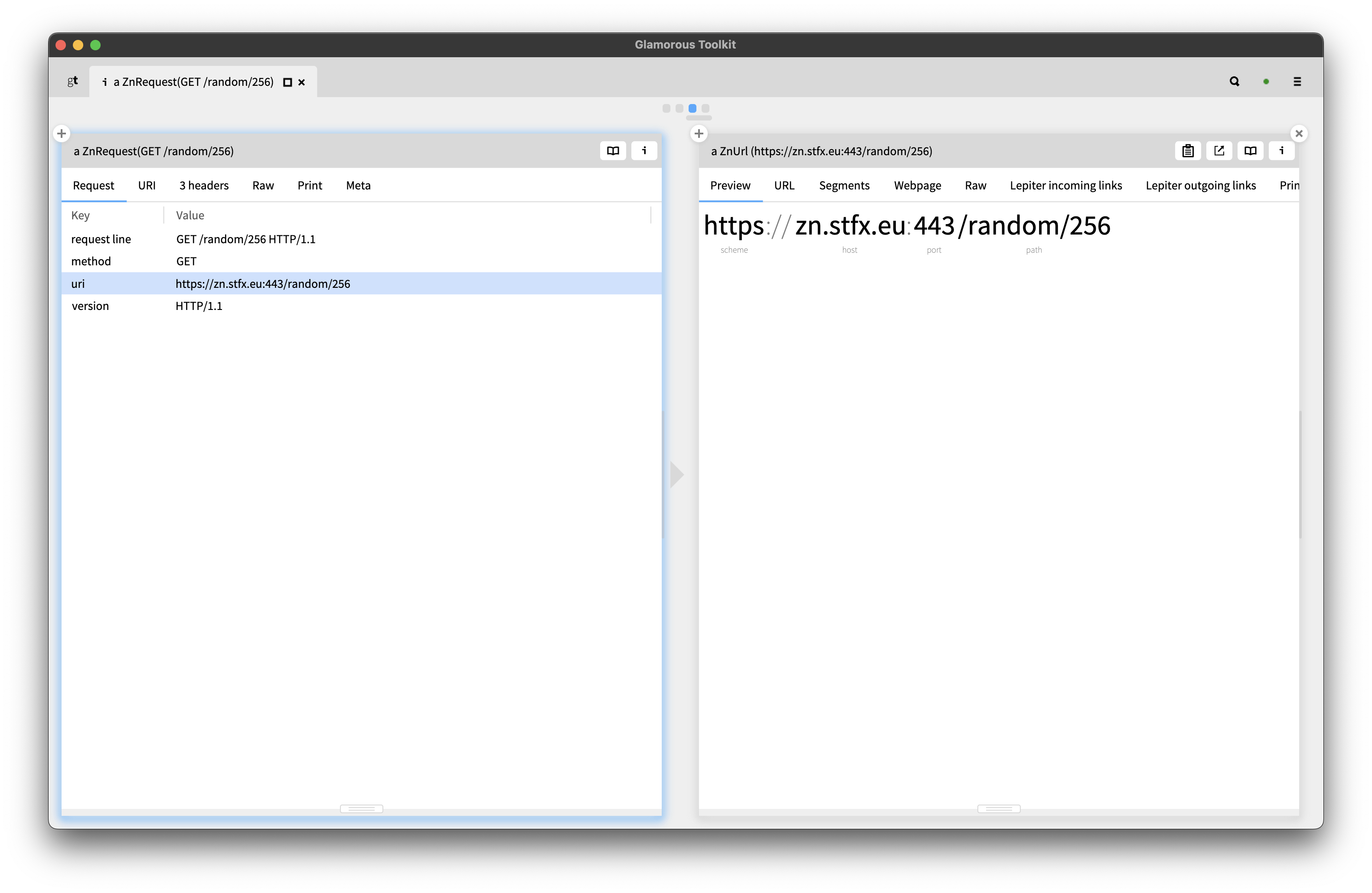 Zinc HTTP Request URI
